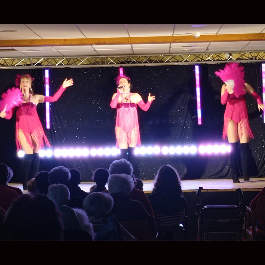 spectacle vegas ehpad montredon labessonnie 2024 02