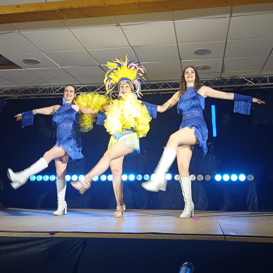 spectacle vegas ehpad montredon labessonnie 2024 03