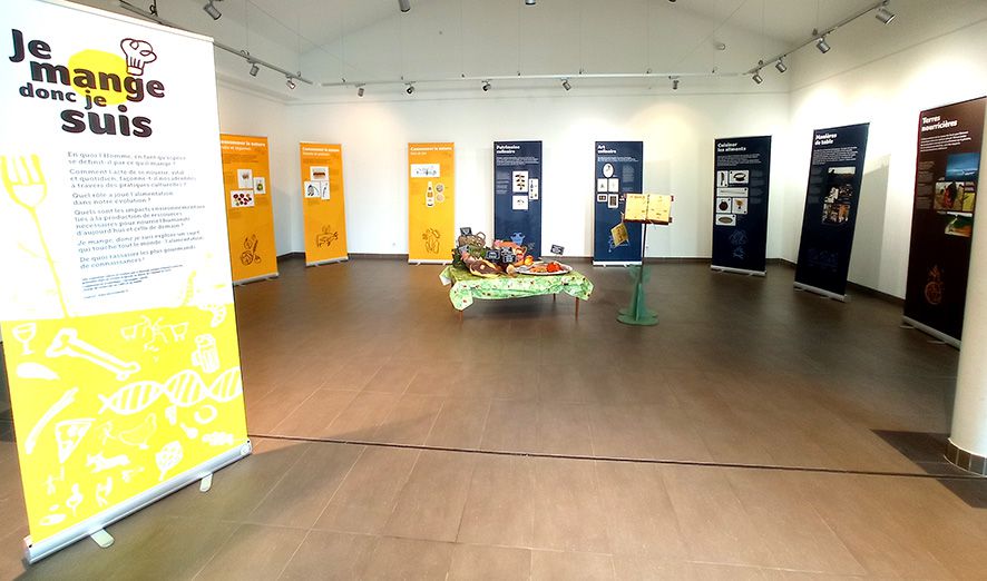 expo je mange donc je suis 03
